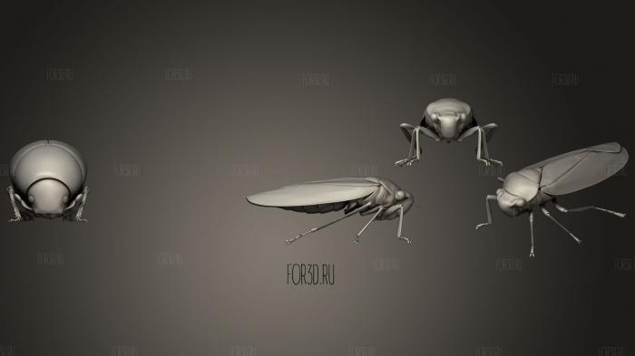 Жуки-насекомые 8 3d stl модель для ЧПУ
